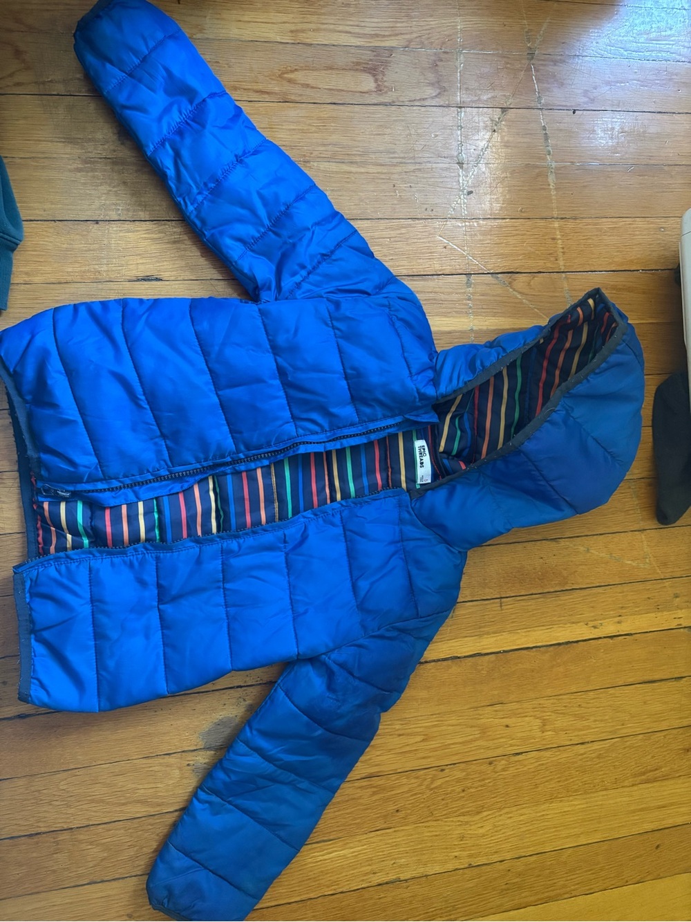 American Eagle Outfitters Navy Jacket with Multicolor Stripe Lining